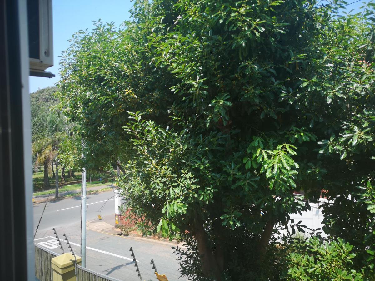 דורבן Kzn Park View Guest House מראה חיצוני תמונה